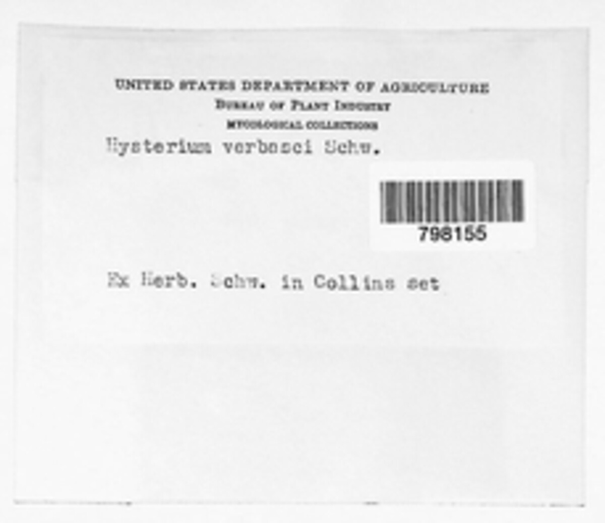 Hysterium verbasci image